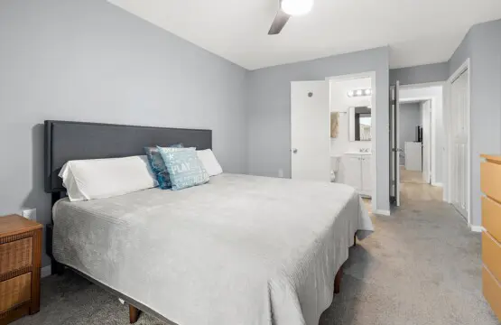 24 24 W 24