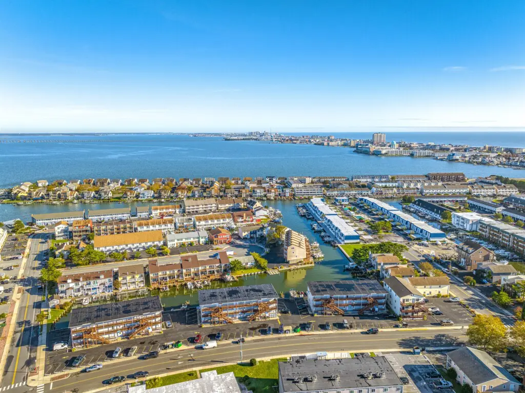 afcc96fb7a424a798d116496761b4cbf LargeOriginal.jpg